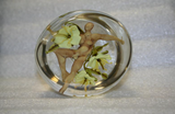 2026 Soft Glass Class - Beginners